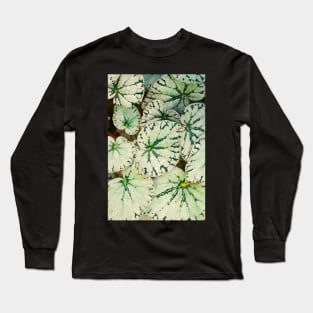 Begonia Leaves Long Sleeve T-Shirt